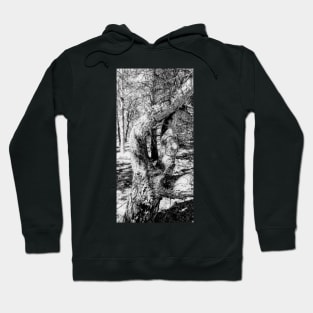 Terra continued Hoodie